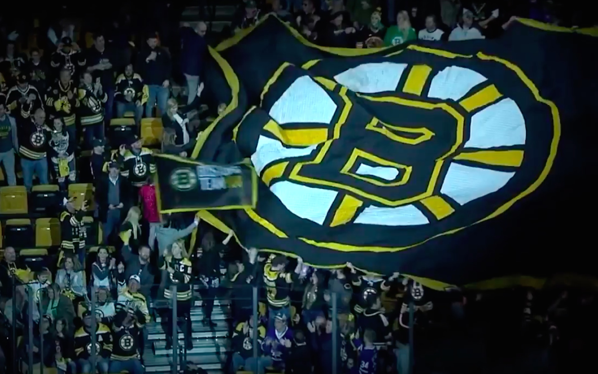 Image result for bruins hype